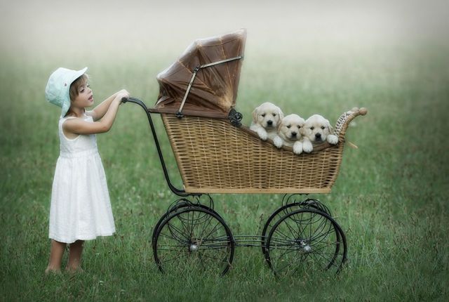 morning picdump 52 pics 14.html - 52 HD Photos | Premium Gallery 2012