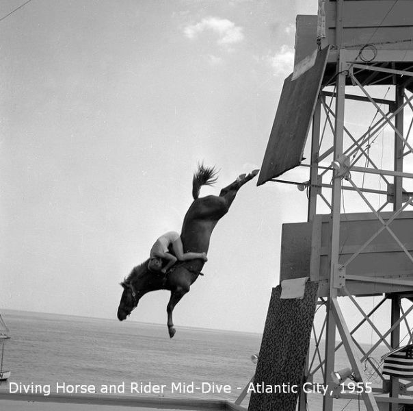 morning picdump 53 pics 21.html - 53 HD Photos | Premium Gallery 2012