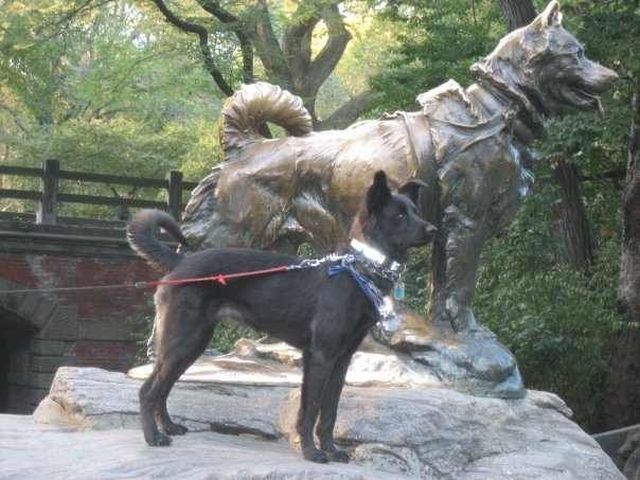 morning picdump 53 pics 21.html - 53 HD Photos | Premium Gallery 2012