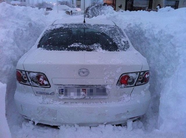 morning picdump 53 pics 21.html - 53 HD Photos | Premium Gallery 2012