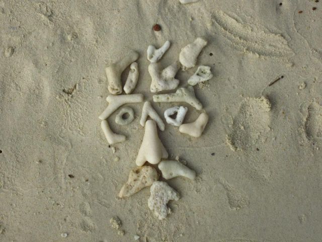 morning picdump 53 pics 21.html - 53 HD Photos | Premium Gallery 2012