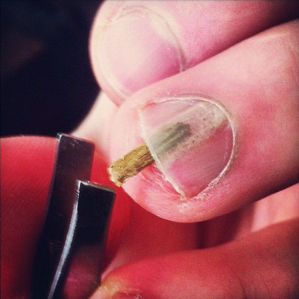 morning picdump 53 pics 12.html - 53 HD Photos | Premium Gallery 2012