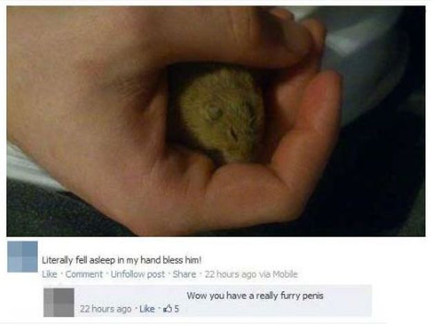 morning picdump 53 pics 12.html - 53 HD Photos | Premium Gallery 2012