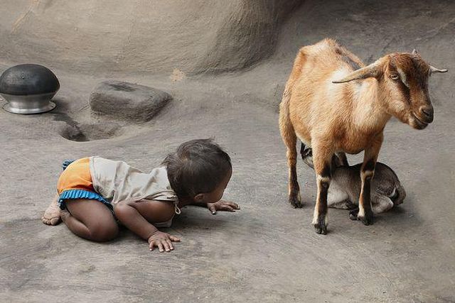 morning picdump 53 pics 12.html - 53 HD Photos | Premium Gallery 2012