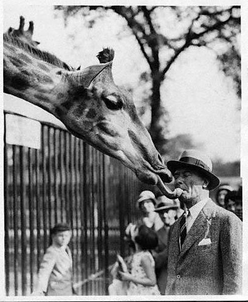 morning picdump 53 pics 12.html - 53 HD Photos | Premium Gallery 2012