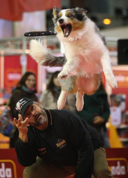 daily picdump weekend edition 97 pics 34.html - 97 HD Photos | Premium Gallery 2012