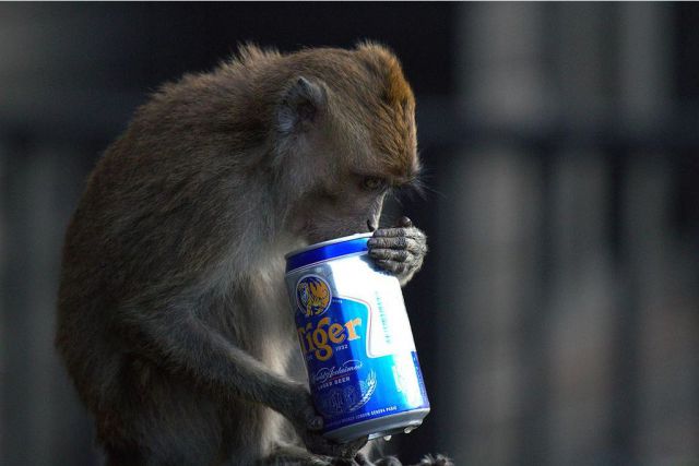 daily picdump weekend edition 97 pics 34.html - 97 HD Photos | Premium Gallery 2012