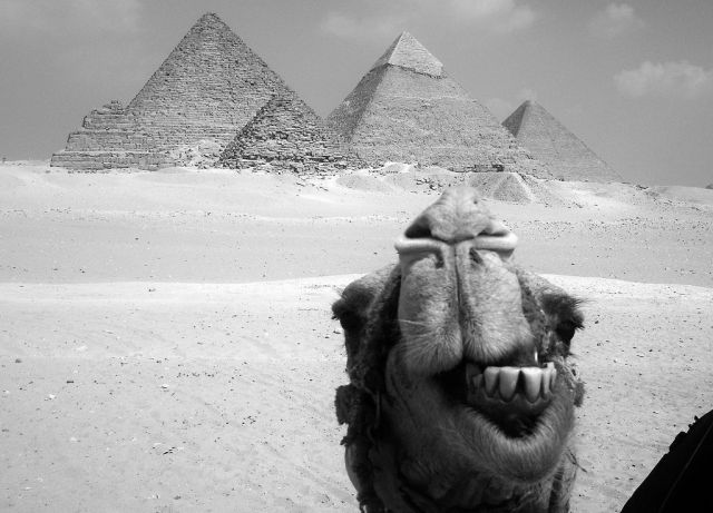 daily picdump weekend edition 97 pics 34.html - 97 HD Photos | Premium Gallery 2012