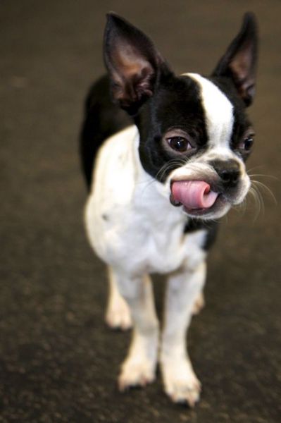 daily picdump weekend edition 97 pics 34.html - 97 HD Photos | Premium Gallery 2012