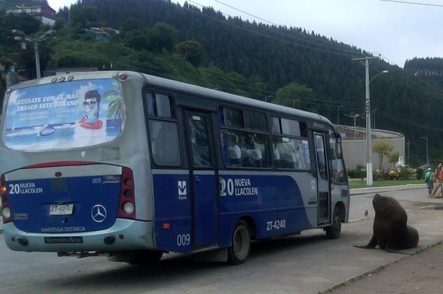 morning picdump 52 pics 17.html - 52 HD Photos | Premium Gallery 2012