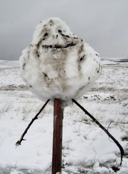 daily picdump 97 pics 45.html - 97 HD Photos | Premium Gallery 2012