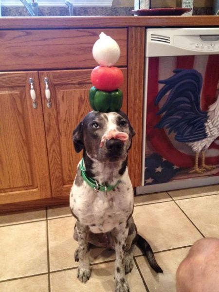 daily picdump 97 pics 45.html - 97 HD Photos | Premium Gallery 2012