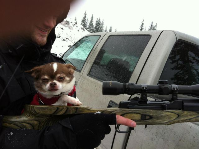 daily picdump 97 pics 45.html - 97 HD Photos | Premium Gallery 2012