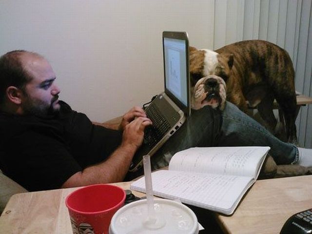 daily picdump 97 pics 45.html - 97 HD Photos | Premium Gallery 2012