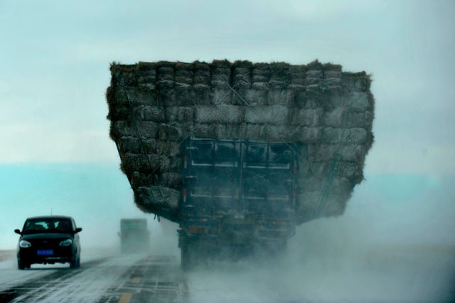 morning picdump 52 pics 17.html - 52 HD Photos | Premium Gallery 2012