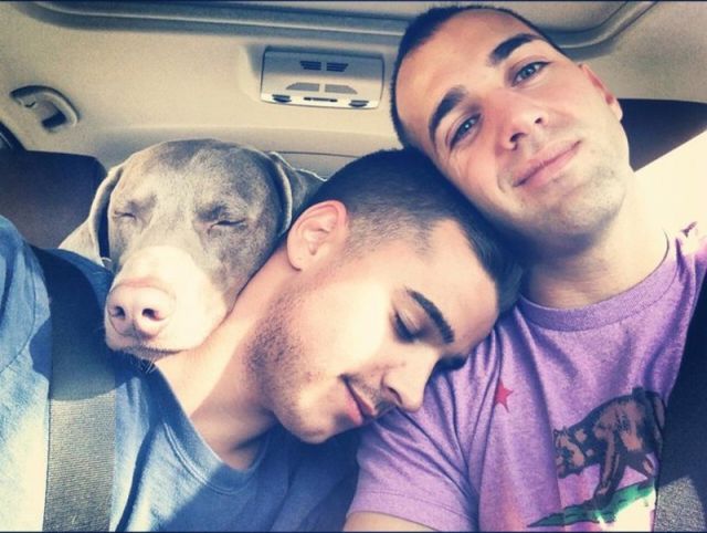 morning picdump 52 pics 17.html - 52 HD Photos | Premium Gallery 2012