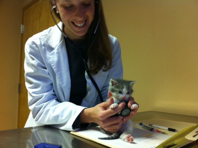 Daily Picdump [WEEKEND EDITION]