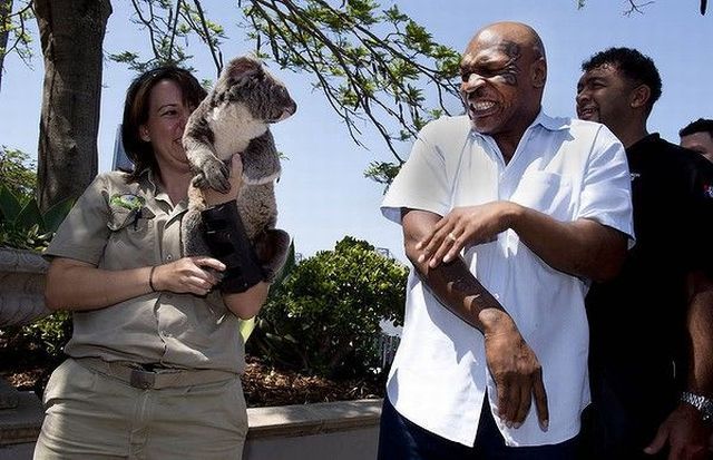 Daily Picdump [WEEKEND EDITION]