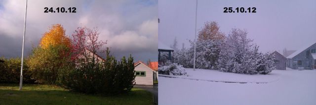 Daily Picdump [WEEKEND EDITION]