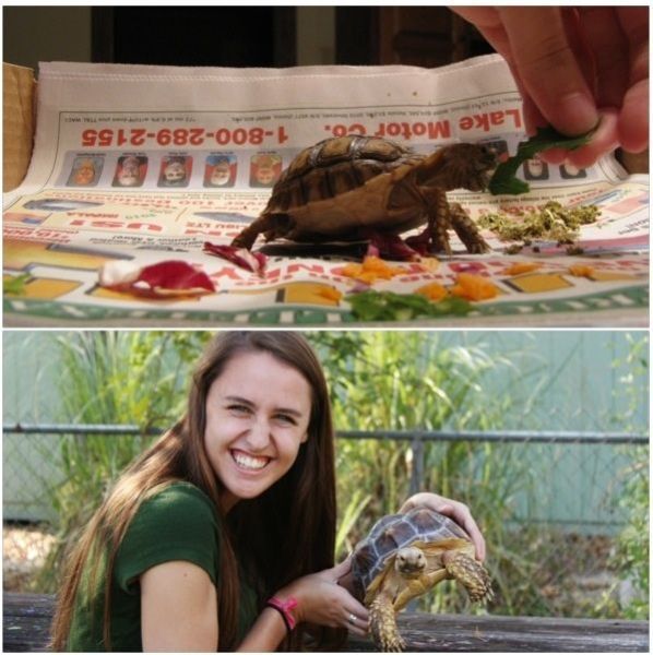 Daily Picdump [WEEKEND EDITION]