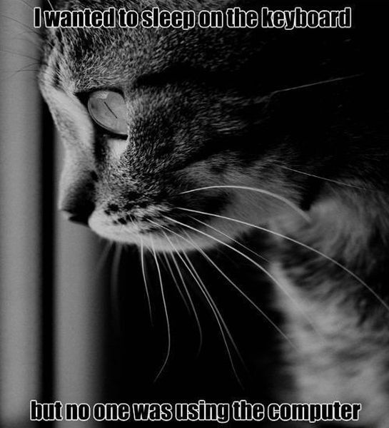 daily picdump weekend edition 98 pics 12.html - 98 HD Photos | Premium Gallery 2012