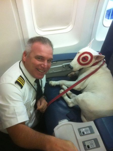 daily picdump weekend edition 98 pics 12.html - 98 HD Photos | Premium Gallery 2012