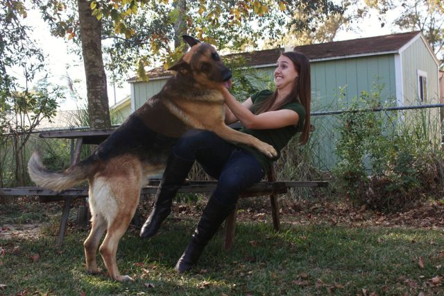 daily picdump weekend edition 98 pics 12.html - 98 HD Photos | Premium Gallery 2012