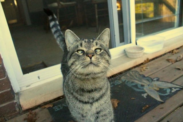 daily picdump weekend edition 98 pics 12.html - 98 HD Photos | Premium Gallery 2012