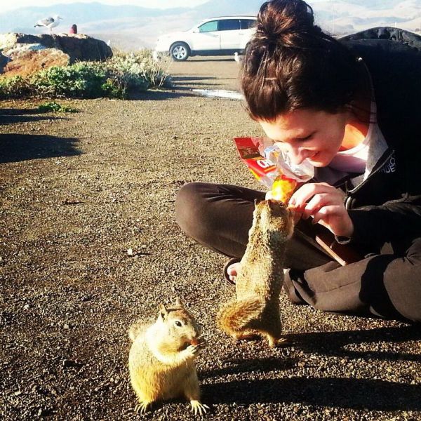 daily picdump weekend edition 98 pics 12.html - 98 HD Photos | Premium Gallery 2012