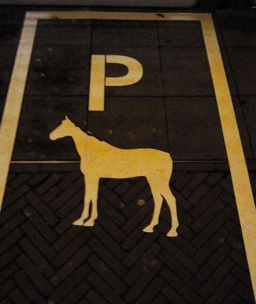 daily picdump 94 pics 9.html - 94 HD Photos | Premium Gallery 2012