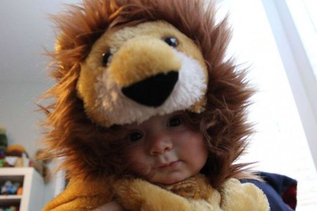 daily picdump 94 pics 9.html - 94 HD Photos | Premium Gallery 2012