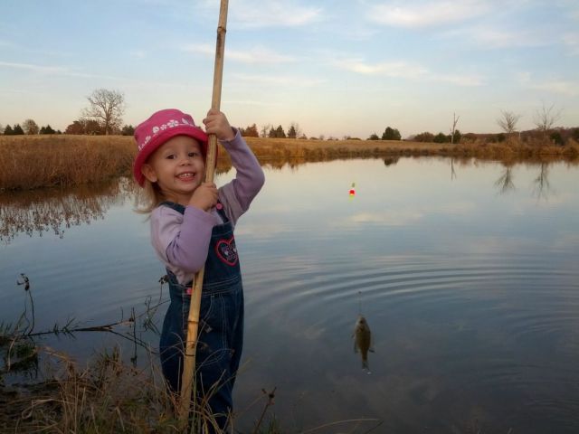 daily picdump 94 pics 9.html - 94 HD Photos | Premium Gallery 2012