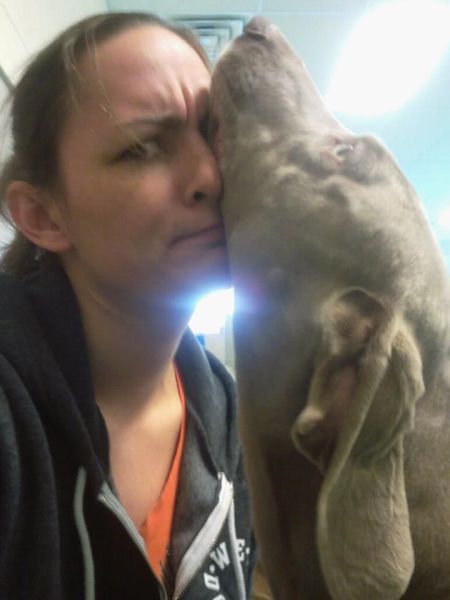 daily picdump 94 pics 9.html - 94 HD Photos | Premium Gallery 2012