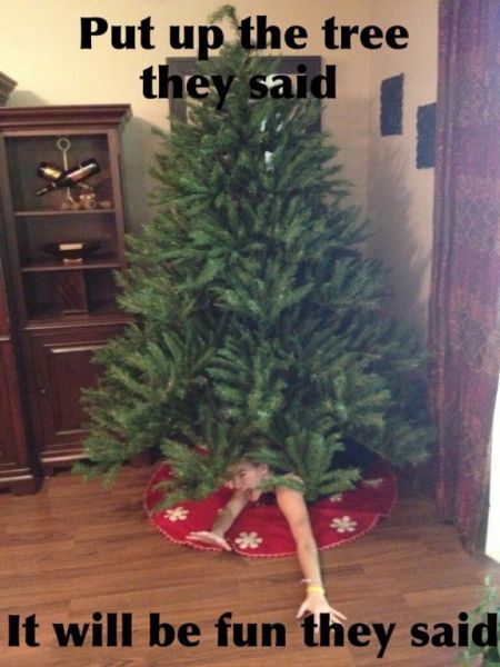 daily picdump 94 pics 9.html - 94 HD Photos | Premium Gallery 2012