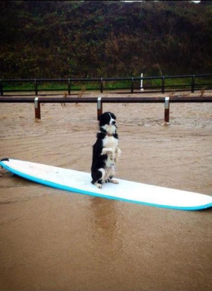 daily picdump 94 pics 9.html - 94 HD Photos | Premium Gallery 2012