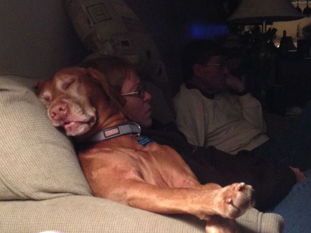 daily picdump 94 pics 9.html - 94 HD Photos | Premium Gallery 2012