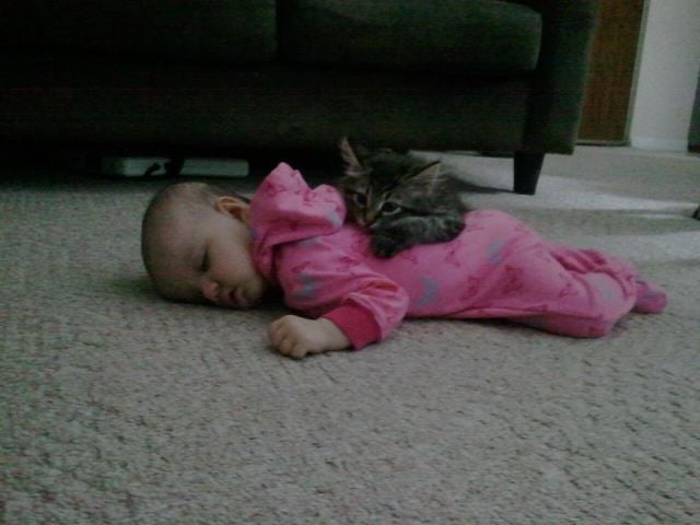 morning picdump 55 pics 8.html - 55 HD Photos | Premium Gallery 2012