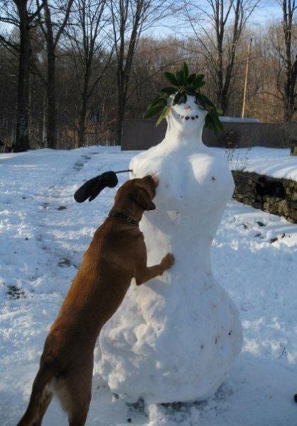 morning picdump 55 pics 8.html - 55 HD Photos | Premium Gallery 2012