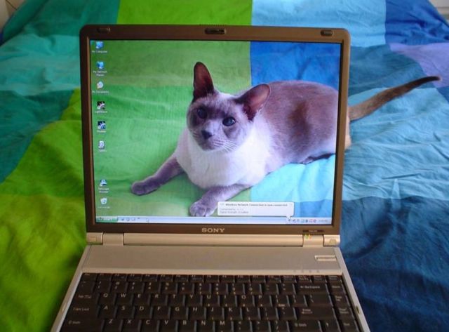 morning picdump 55 pics 8.html - 55 HD Photos | Premium Gallery 2012