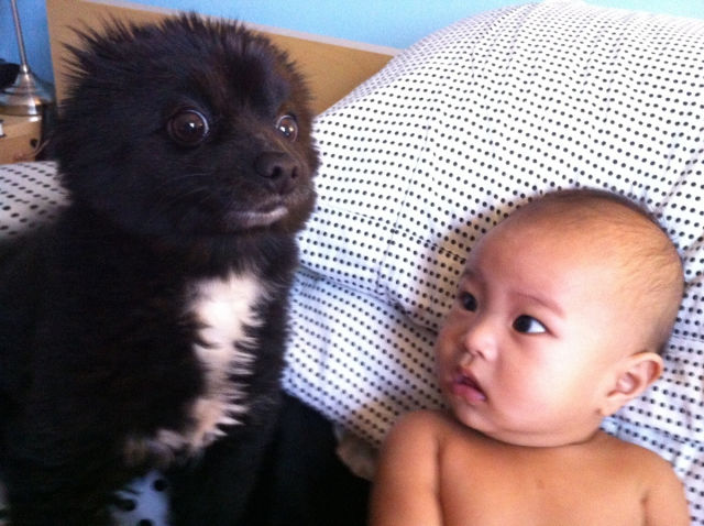 morning picdump 54 pics 7.html - 54 HD Photos | Premium Gallery 2012