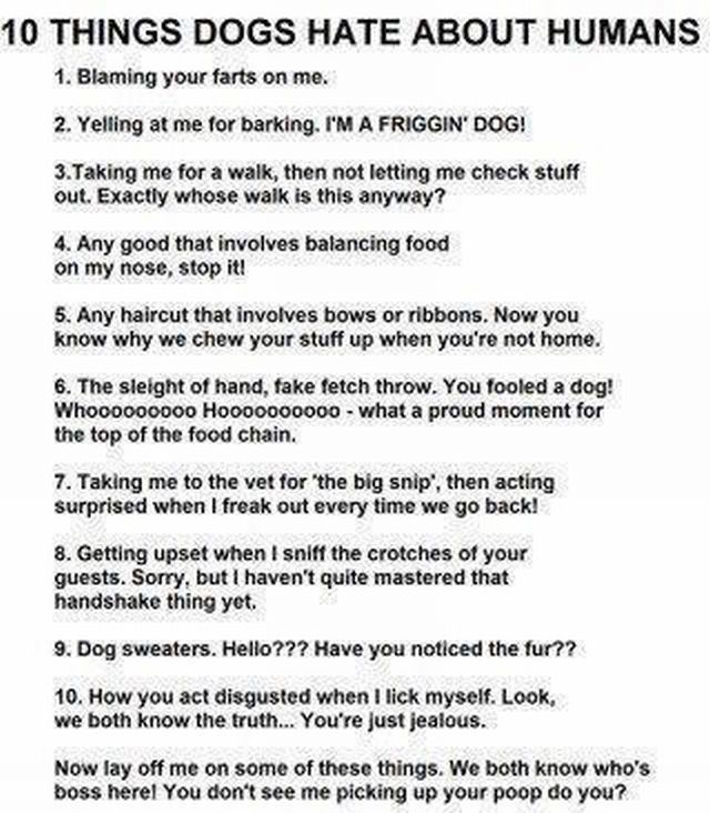 morning picdump 52 pics 8.html - 52 HD Photos | Premium Gallery 2012