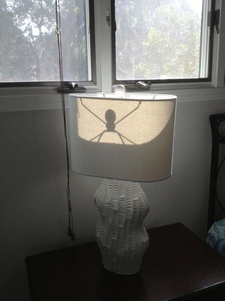 Daily Picdump [WEEKEND EDITION]