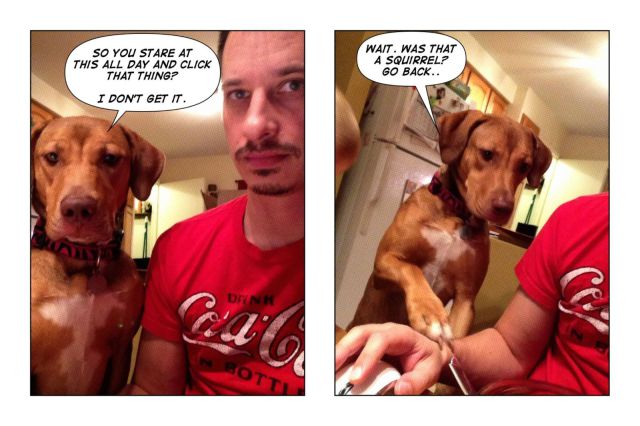 daily picdump weekend edition 93 pics 11.html - 93 HD Photos | Premium Gallery 2012