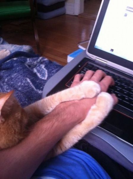 daily picdump weekend edition 93 pics 11.html - 93 HD Photos | Premium Gallery 2012