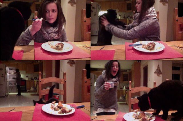 daily picdump weekend edition 93 pics 11.html - 93 HD Photos | Premium Gallery 2012