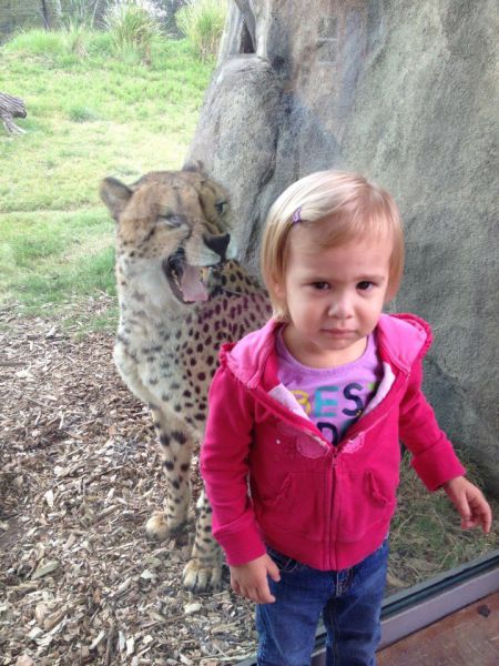 daily picdump weekend edition 93 pics 11.html - 93 HD Photos | Premium Gallery 2012