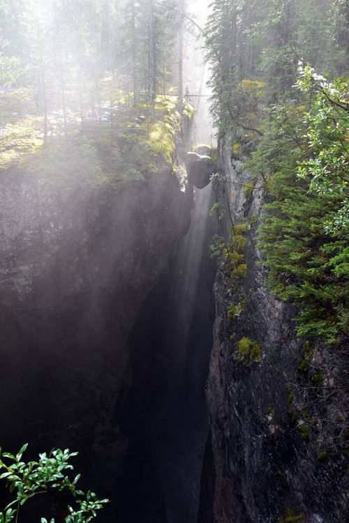 Daily Picdump [WEEKEND EDITION]