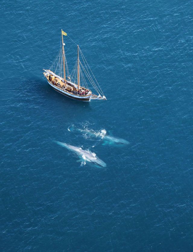 Daily Picdump [WEEKEND EDITION]