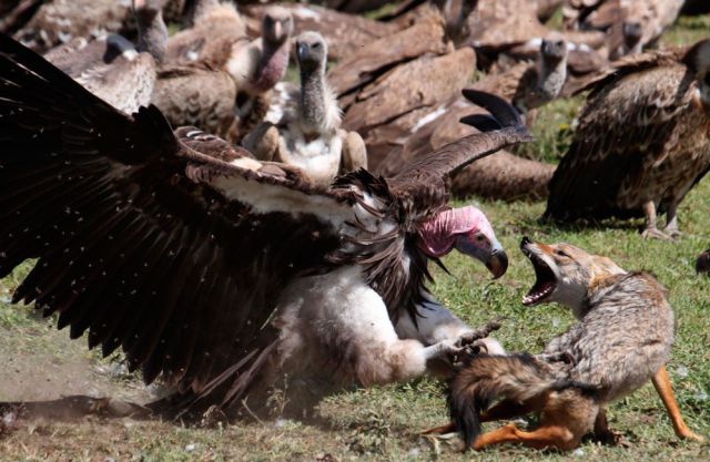 daily picdump 110 pics 6.html - 110 HD Photos | Premium Gallery 2012