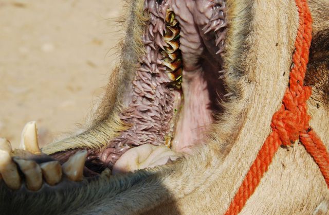 daily picdump 110 pics 6.html - 110 HD Photos | Premium Gallery 2012